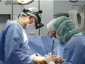 Arzt in Weiterbildung (m/w/d) für Herzchirurgie, 2. Bild